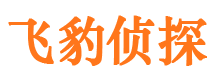 平阳市侦探调查公司